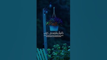 ﴿ إِنَّمَا الصَّدَقاتُ لِلفُقَراءِ وَالمَساكينِ وَالعامِلينَ عَلَيها ﴾ #عامر_الكاظمي #سورة_التوبة