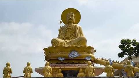 Giải đáp Đặc biệt Xuân 2024   P4   Hát Karaoke chết làm Ma câm