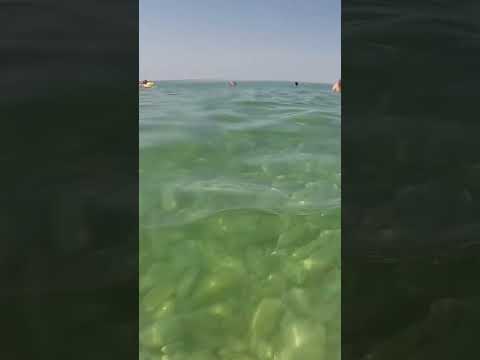 Подводный мир лучшего