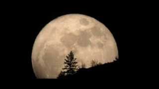 MUCHSIN -  terang bulan di gunung [ BOWO collect.]