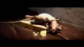 Shocking Ad With A Twisted End,What Happened Next Will Make You Laugh