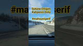 Sütüne Ettiğim Kahpenin Dölü Şerif