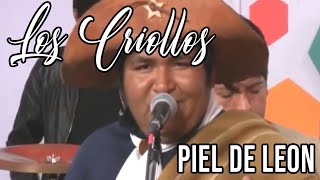 Los Criollos - Piel de Leon (No voy a volver a llorar. En vivo "Vision Cultural" - Enero 2019)
