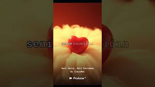 Seni Sevip, Seni Unutamam _____ Şarkı