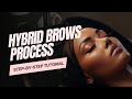Hybrid Brows Process - Step By Step