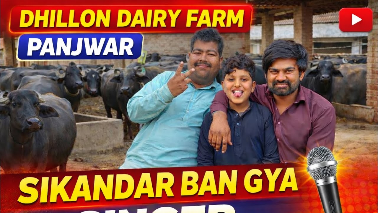 Sikander mouj mai… Dhillon dairy farm 