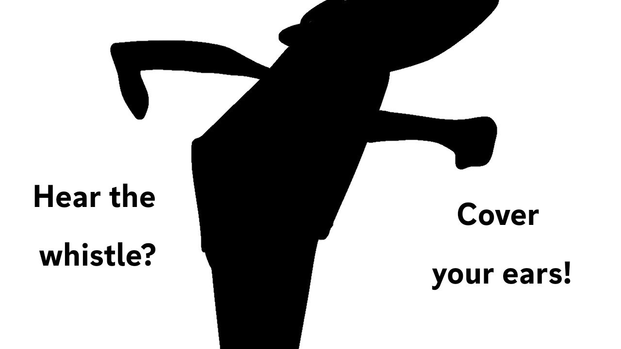 Flowers solo (ARG TD)