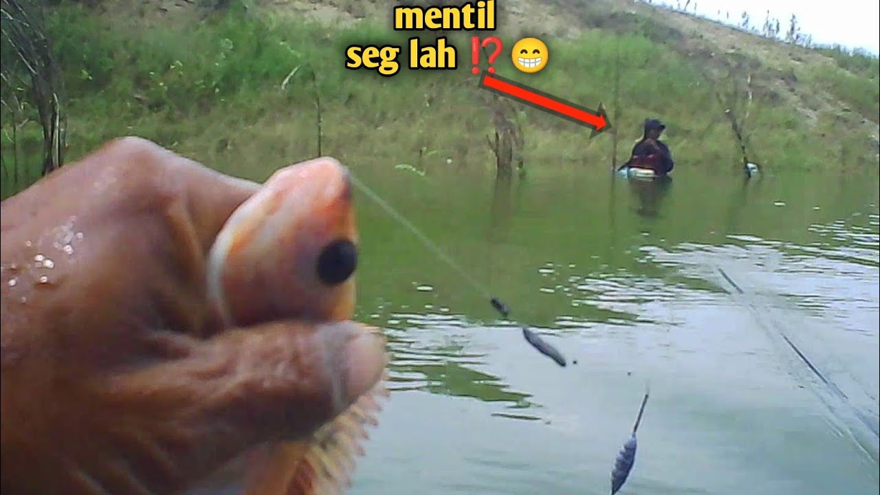 WKO TERBARU ⁉️ grasak bergoyang  