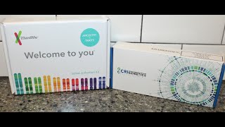 23andMe & CRI Genetics: Genetic Test, Results & Is It Worth It