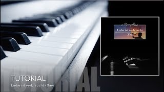 [TUTORIAL] Liebe ist verbraucht - Xavi (Piano Cover by oOrwellino)