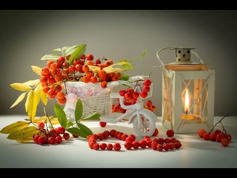 Доброго осеннего вечера!