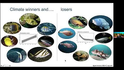 Sydney's Changing Reefs: Monitoring trends in marine life thanks to citizen science