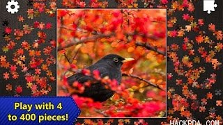 Jigsaw Puzzle Epic [HACK All Unlocked]