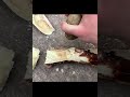 bone marrow