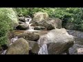 Songbirds Above a Hidden Jade River Corridor | Forest Nature Sounds for Deep Sleep & Relaxation