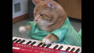 You Are OK, Keyboard Cat!