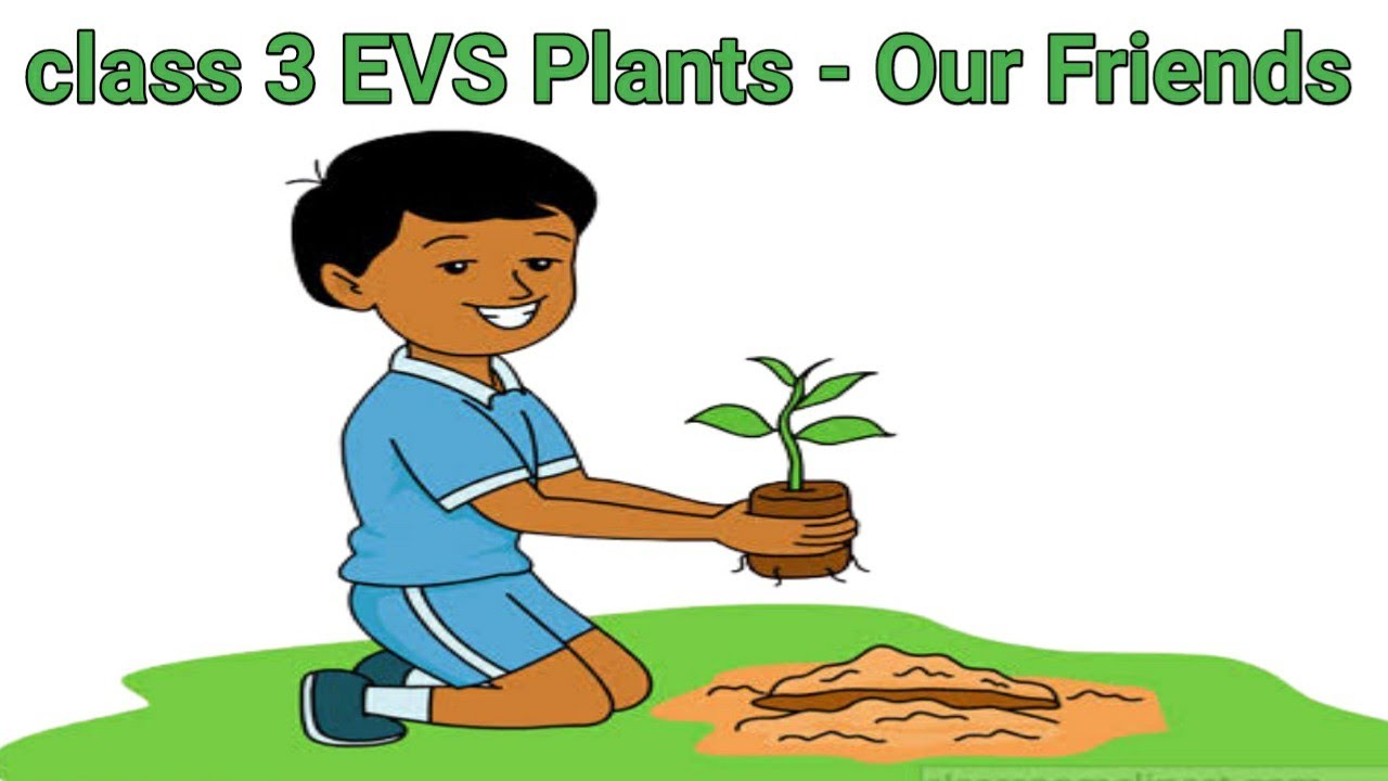 Class 3 EVS Lesson 5 Plants Our Friends YouTube class-3-evs-lesson-5-plants-our-friends-youtube