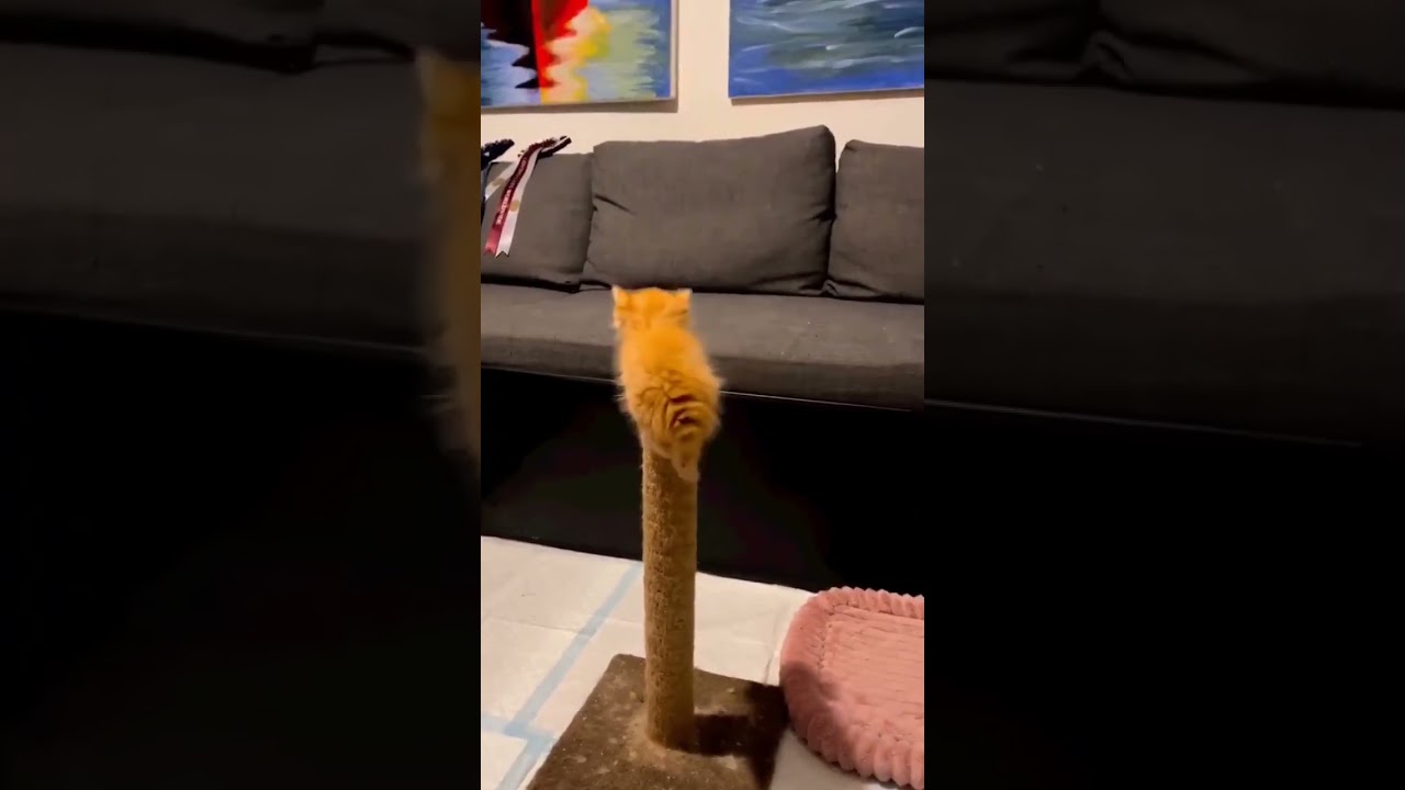 脳みそ、とろけちゃった…🫠