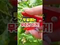 2025년 8월 4일