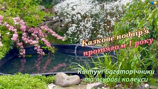 картинка: Прогулянка по подвір'ю протягом 1 року / Весняні квітучі багаторічники / Яскраві колеуси в саду