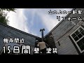 【DIY】雨漏りする壁、素人には前途多難〜予期せぬ生き物に衝撃〜フレンドリーな愛猫と外猫に癒される。