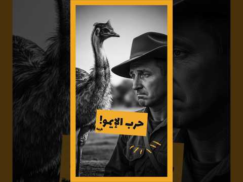 أغرب حرب على الإطلاق بين جيش وطيور لكن النتيجة الصادمة الطيور انتصرت