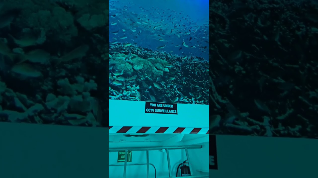 Ross Island Adventures | Semi-Submarine + Ferry Dining Experience😍🏝🏖🇮🇳🍴