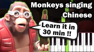 Monkeys Singing Chinese TikTok - EASY Piano Tutorial