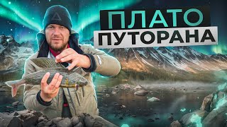 видео: Плато Путорана | Русский феномен l Ловим хариуса, живём в таёжной избе, готовим на берегу озера Лама картинка: Плато Путорана | Русский феномен l Ловим хариуса, живём в таёжной избе, готовим на берегу озера Лама