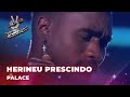 Herineu Prescindo - “Palace” | Blind Auditions | The Voice Portugal 2023