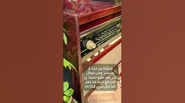 "وَمَنْ يَتَّقِ اللَّهَ يَجْعَلْ لَهُ مَخْرَجًا"| تلاوة خاشعة