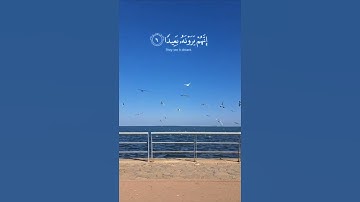 {فاصبر صبرا جميلا، إنهم يرونه بعيدا ونراه قريبا} سورة المعارج