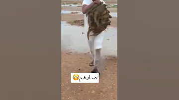 بيدور عليا 