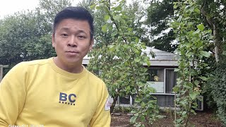Download Lagu Thật hư tin đồn: Hun Sen tháo chạy ra khỏi Campuchia ? - Ngày 25/07/2025... MP3 Download Lagu Thật hư tin đồn: Hun Sen tháo chạy ra khỏi Campuchia ? - Ngày 25/07/2025... MP3