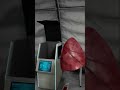 HUGE LUNG Found in QUARANTINE ZONE 😂  Funny Discovery