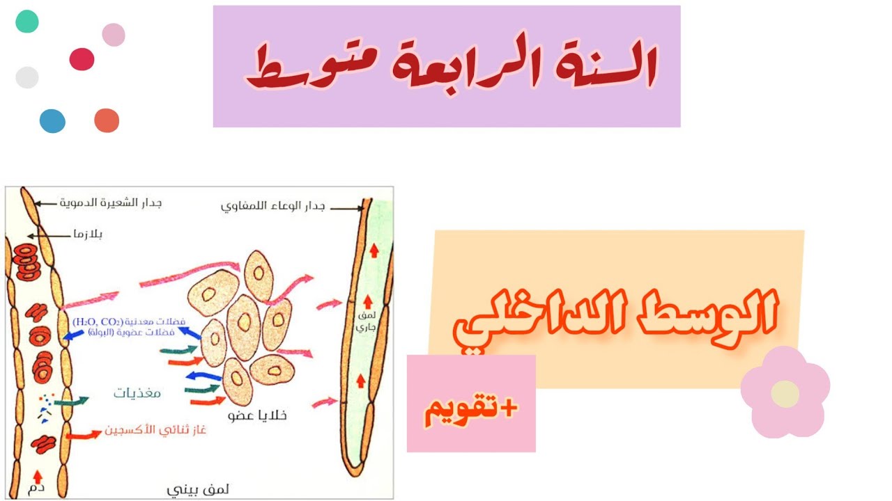 الوسط الداخلي + تقويم |•| السنة الرابعة متوسط|•|
