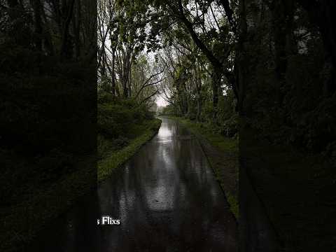 🌧️ Baarish - Atif Aslam (Half Girlfriend) 🎸 #shorts #shortsfeed #trending #lyrics #viral #explore