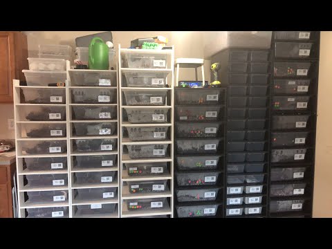 videocon care centre Snake Keeper Saturday