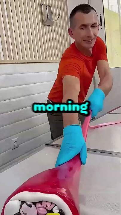 Bird's Morning Alarm Clock System 🐦⏰ #shorts