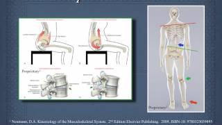 kinetic chain in functional movement and treating joint disorders #back#knee,#gait,#kinetic,#chain