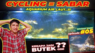 AQUARIUM AIR LAUT #EPS05 | MENGERIKAN!!! PROSES CYCLING AQUARIUM LAUT