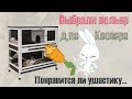 ВОЛЬЕР для КРОЛИКА. Обустраиваем и ЗАСЕЛЯЕМ Каспера