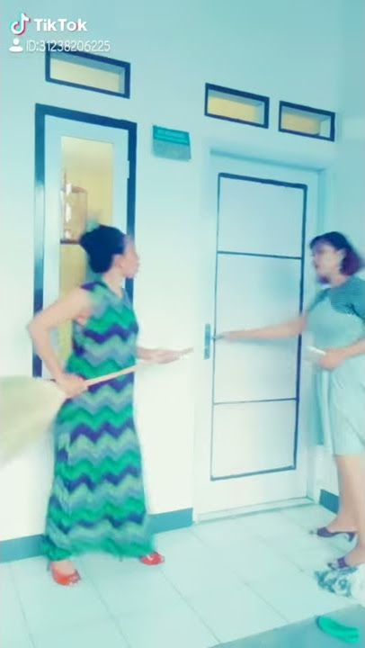 Tiktok pelakor