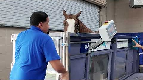 Equine Performance Innovative Center – Full Tour & Demonstrations