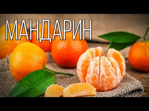 فيديو: ما هي فاكهة الهسبريديوم؟