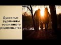 ДУХОВНЫЕ РУДИМЕНТЫ ОСОЗНАННОГО РОДИТЕЛЬСТВА - ОСОЗНАННЫЕ СНОВИДЕНИЯ, РОДОВАЯ ПАМЯТЬ, РЕИНКАРНАЦИЯ