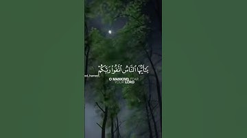 سورة لقمان إسلام صبحي #قران_كريم #اكسبلور