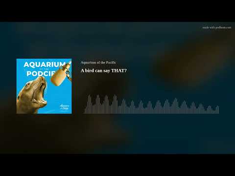 Aquarium of the Podcific: Why does an Aquarium have birds?