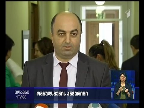 ომბუდსმენის შენიშვნები და დეპუტატების პოზიცია - პარლამენტში ნანუაშვილის ანგარიში მოისმინეს
