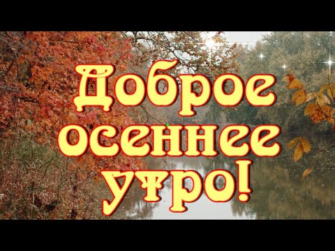 Доброе утро! Удачной недели! Радостного настроения! 🍁🍁🍁